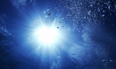 开云体育官网-佩德里状态火热，瑞士末节发力带走几内亚