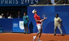 开云官方app入口-法国网球队绝杀世界网球队，德约科维奇关键制胜的简单介绍