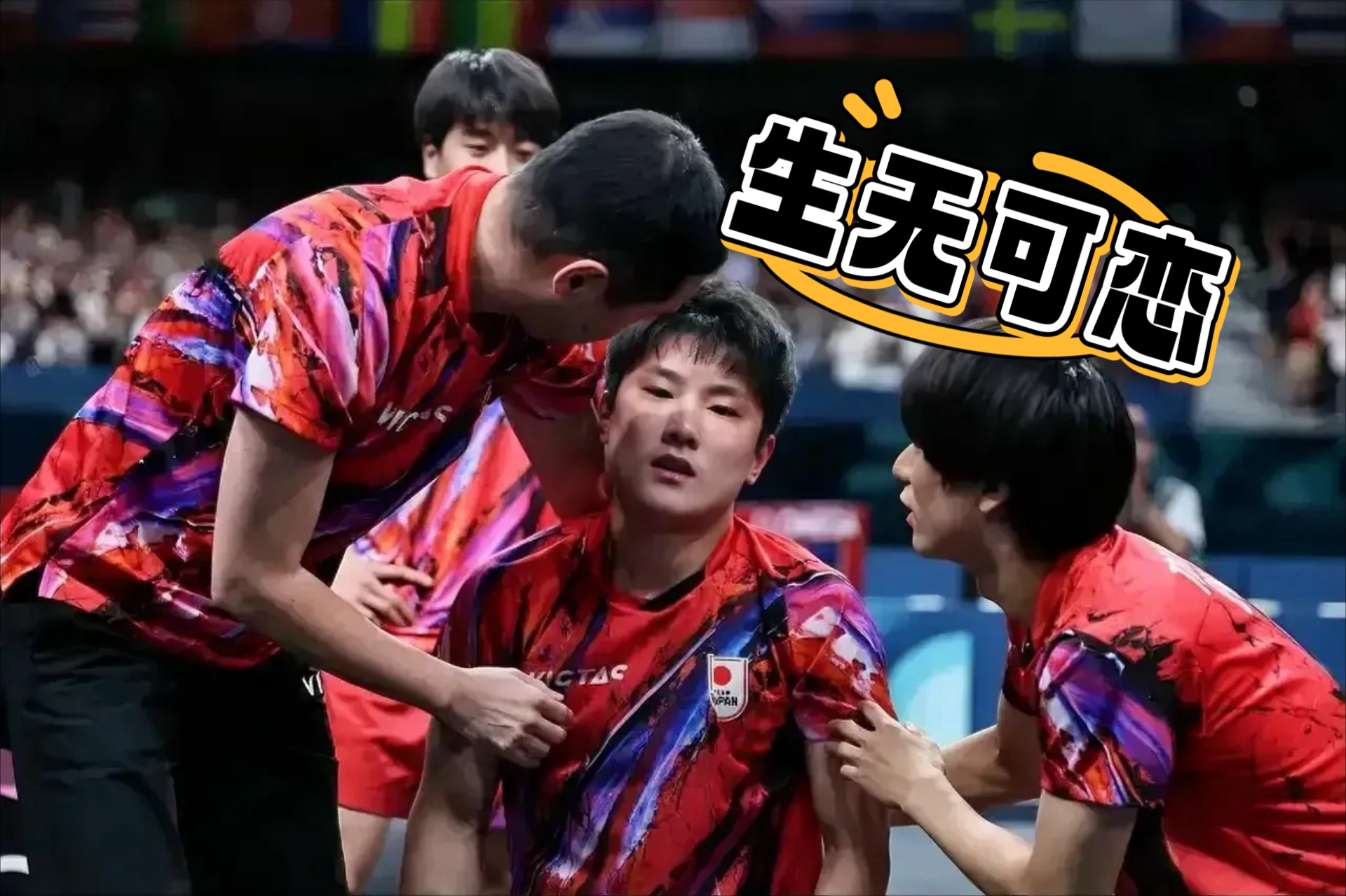 关于日本乒乓球队爆冷波兰乒乓球队，张本智和关键制胜的信息