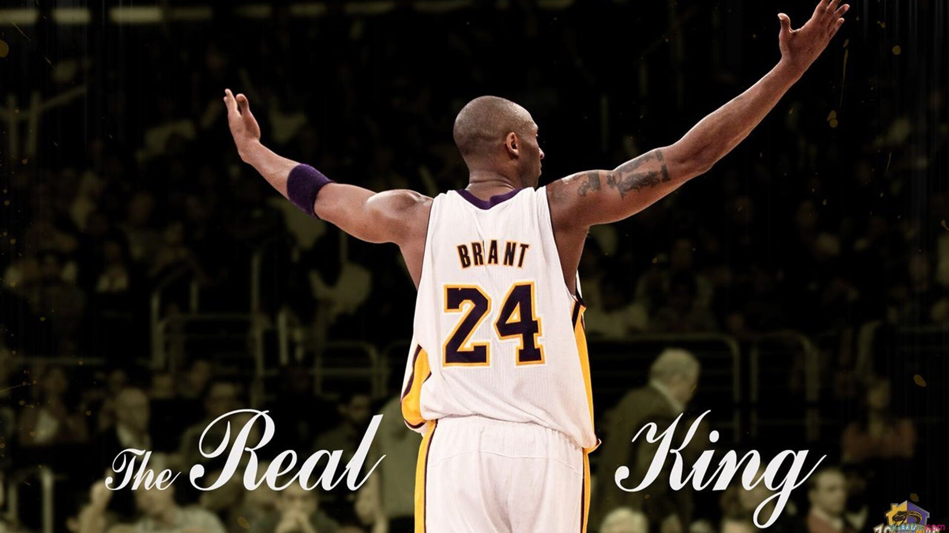 从安菲尔德到马赛之夜,努涅斯如何用一记世界波打破质疑,证明自己的唯一性